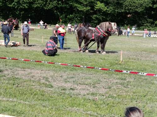 IMG_20260523_160039